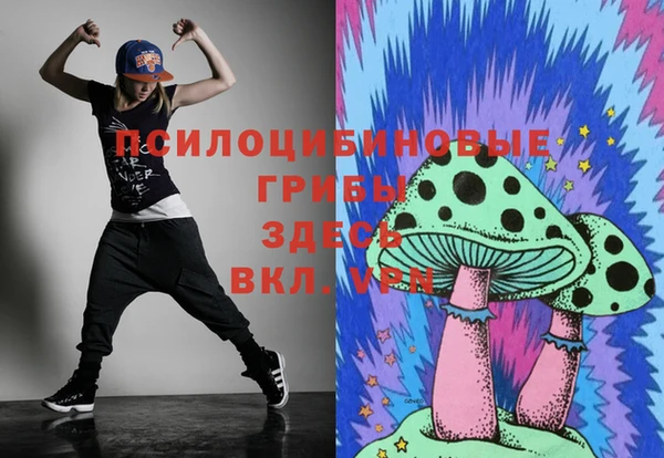дурь Балахна