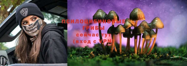 дурь Балахна