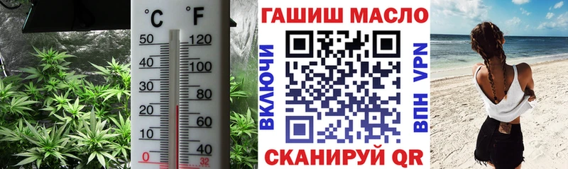 ТГК концентрат  Куртамыш 
